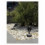 Spot piquet orientable 180 ° - IP65 - 240V - GU10 - Noir - SENDAI