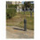 Borne Extérieure SIROCO -IP44 - hauteur 65 cm - douille E27.- lampe non fournie.- 14W- Anthracite