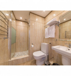 Spot salles de bains - Encastré au plafond PALMA IP65- à équiper de GU5.3 50W Blanc