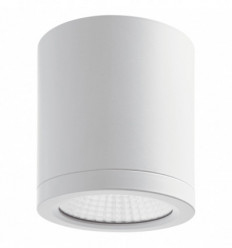 Spot à montage en surface ou en saillie BUIS IP54 LED COB 24W coloris blanc- diamètre 120 mm angle de 50 ° 3000 K