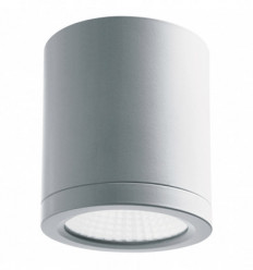 Spot à montage en surface ou en saillie BUIS IP54 LED COB 24W coloris GRIS- diamètre 120 mm angle de 50 ° 3000 K