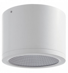 Spot saillie BUIS IP54 LED COB 32 W