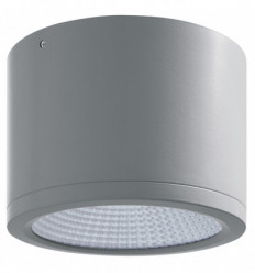 Spot saillie BUIS IP54 LED COB 32 W - diamètre 160 mm angle de 50 ° 3000K Gri