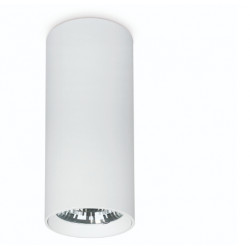 Spot tubulaire en surface HIDRA LED COB 25 W CCT -angle 24 º- coloris blanc