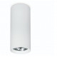 Spot tubulaire en surface HIDRA LED COB 25 W CCT -angle 24 º- coloris blanc- CRI90-UGR19