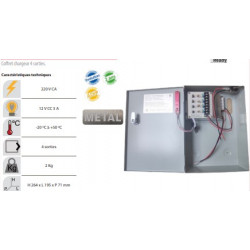 coffret chargeur 4 sorties alimentation fusiblée/ réarmable cctv ,12v 5a, 203*163*74mm.