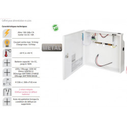 Coffret alimentation avec chargeur régulé 220 v 12 v 18 A sous boîtier métallique